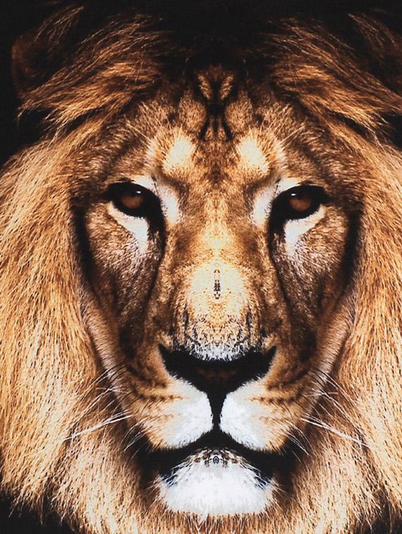digital printed cushion cover - 10756334 - Zoom Image - 3
