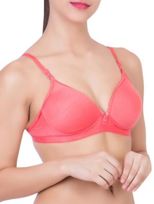maroon,orange,dark purple cotton bra - 10937817 - Standard Image - 15