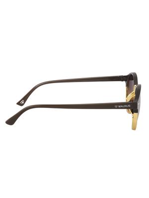 Walrus James Brown Color Women Semi-Rimless Sunglass - WS-JAMES-III-090609 - 14207522 - Standard Image - 3