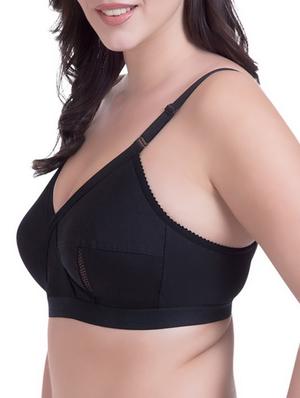 set of 2 multi colored bra - 14384756 - Standard Image - 3
