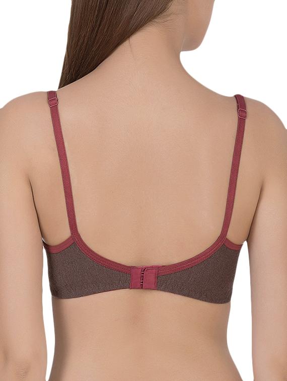 brown cotton tshirt bra - 14432806 - Zoom Image - 3