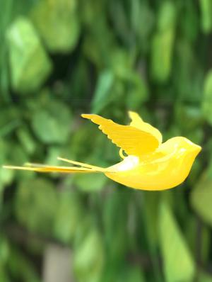 Rocky Star Yellow Hanging Bird - 14441252 - Standard Image - 3