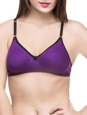 set of 3 multi colored bras - 14474839 - Standard Image - 6