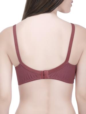Set of 2 multi colored bras - 14544157 - Standard Image - 3