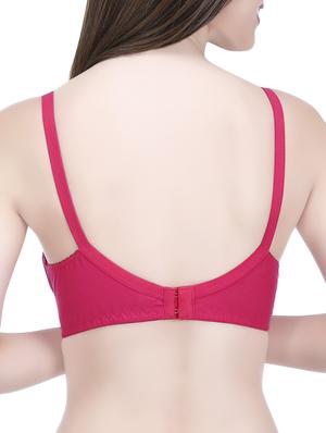 Set of 2 multi colored bras - 14544163 - Standard Image - 3