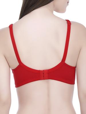 Set of 2 multi colored bras - 14544188 - Standard Image - 3