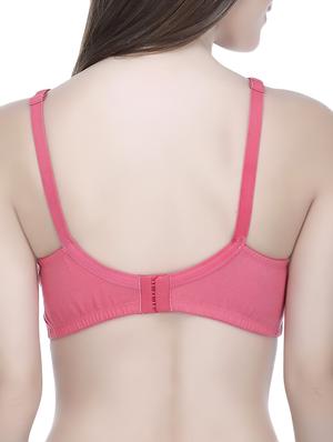 Set of 2 multi colored bras - 14544188 - Standard Image - 6