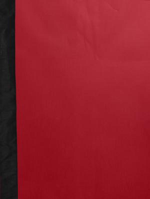 red georgette half and half saree with blouse - 14817171 - Standard Image - 3