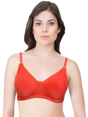 set of 3 multi colored cotton bra - 14899551 - Standard Image - 6