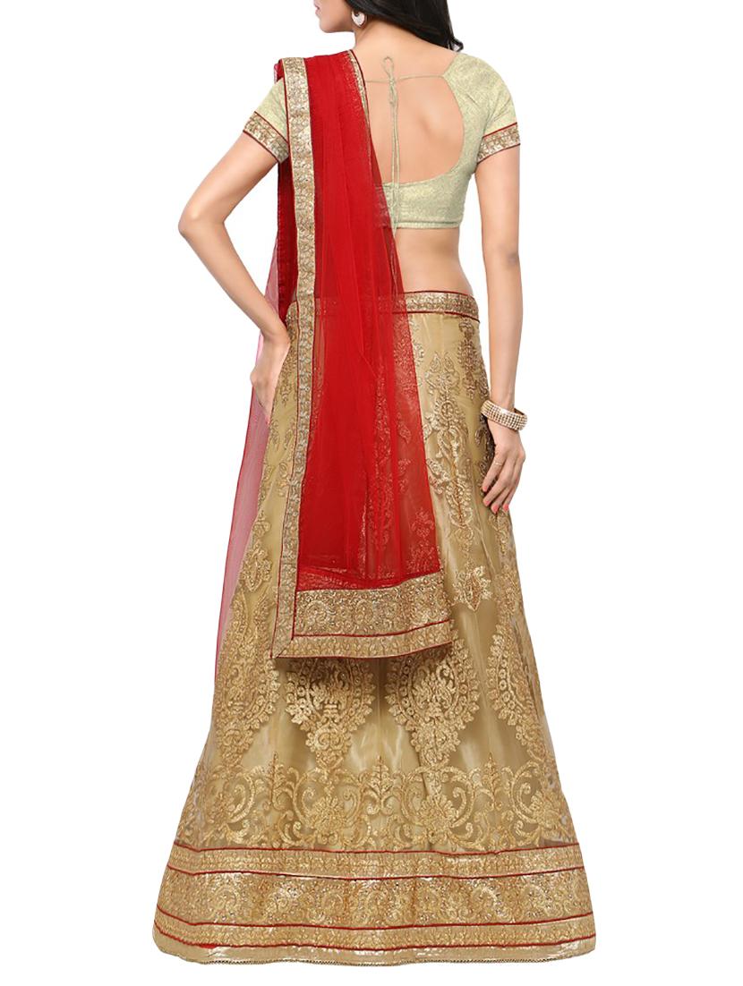 gold net embroidered panelled lehenga - 14959772 - Zoom Image - 3