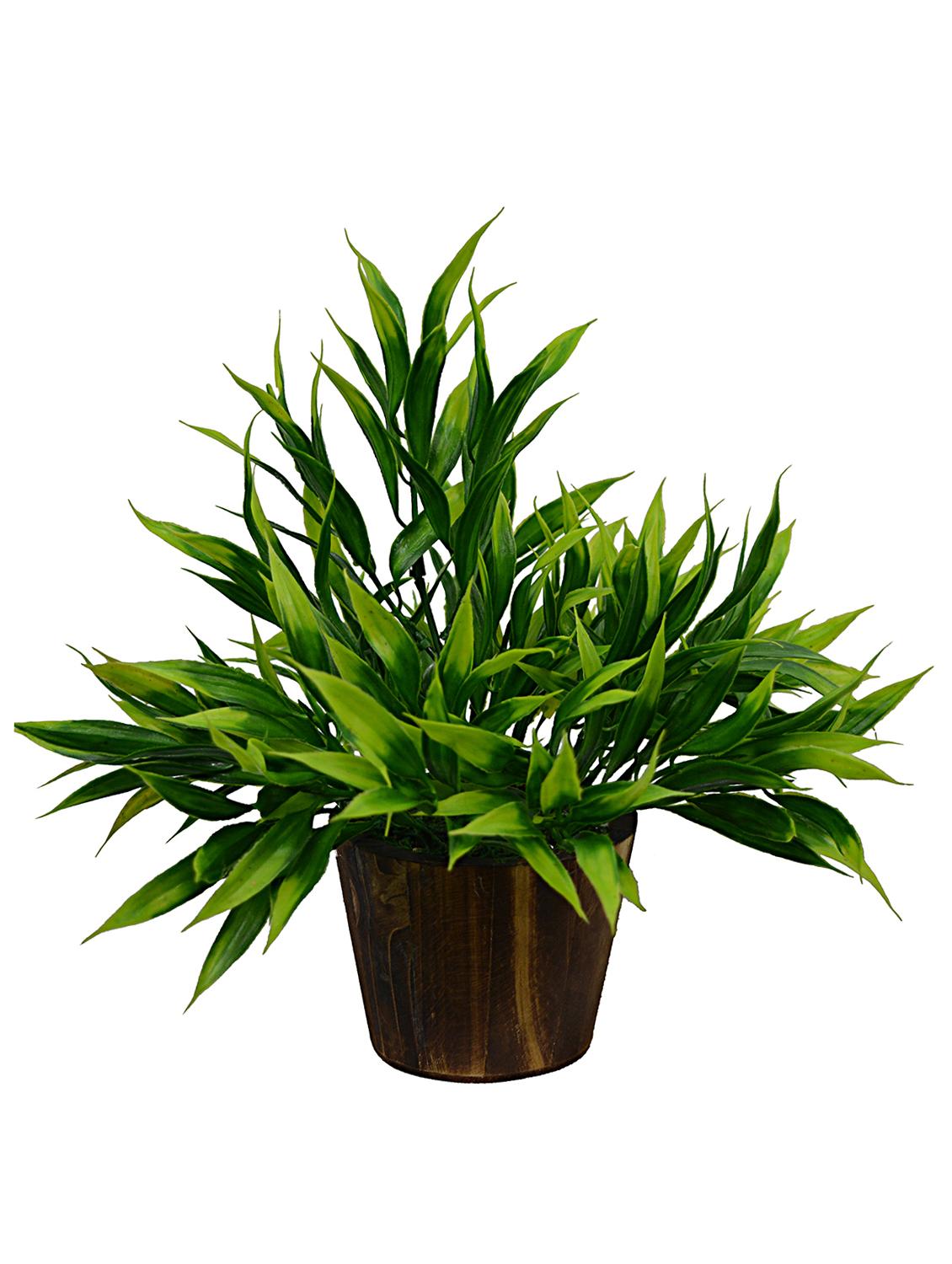Artificial Plant Bamboo (26 cm/ 10 inchs) in Wood round small pot - 14993928 - Zoom Image - 3