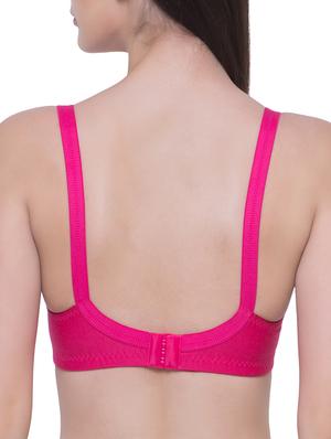 set of 3 multi colored bra - 15122446 - Standard Image - 3