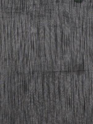 PinkLoom Black Tissue Handloom Saree of Resham with blouse - 15162764 - Standard Image - 3