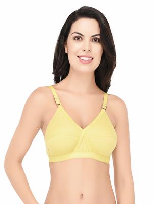set of 3 multi colored hosery bra - 15193870 - Standard Image - 6
