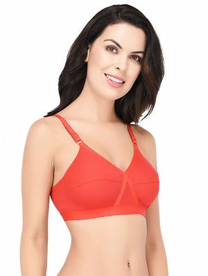 set of 2 multi colored cotton bra - 15218517 - Standard Image - 6