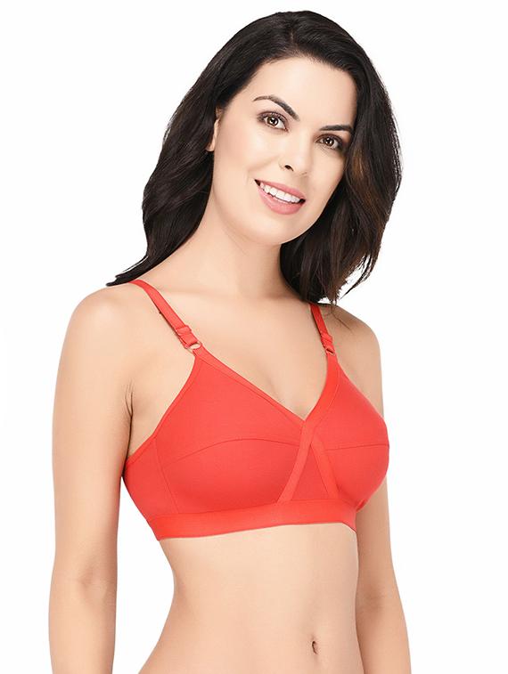 set of 2 multi colored cotton bra - 15218517 - Zoom Image - 6