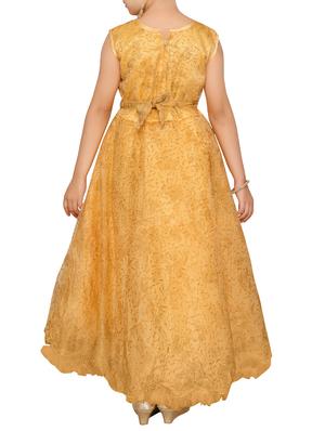 brown net gown - 15229949 - Standard Image - 3