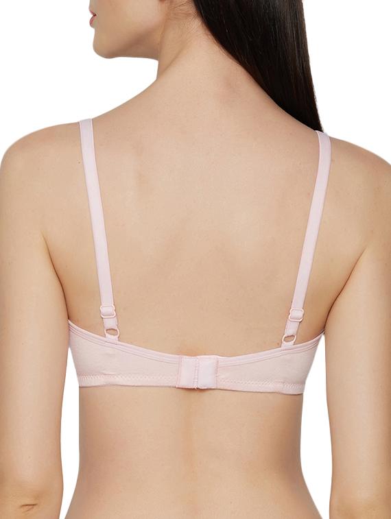set of 2 multi colored t-shirt bra - 15300686 - Zoom Image - 3