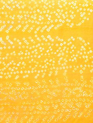 delicate border bandhani saree with blouse - 15341338 - Standard Image - 3