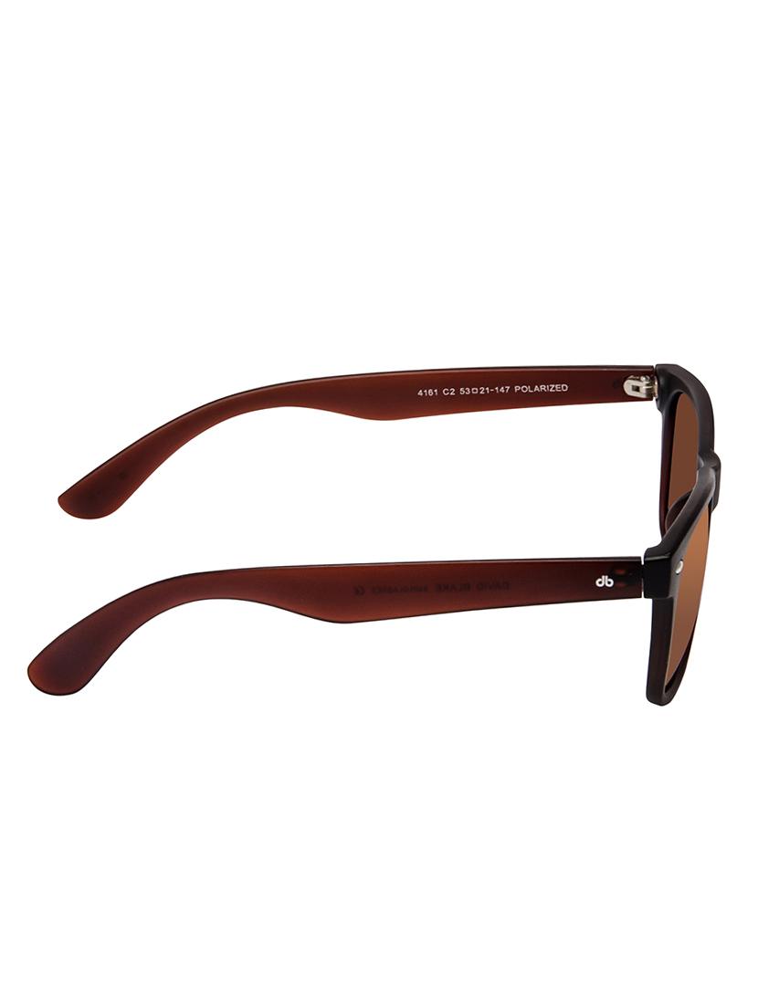 David Blake Brown Wayfarer Polarised & UV Protected Sunglass - 15347021 - Zoom Image - 3