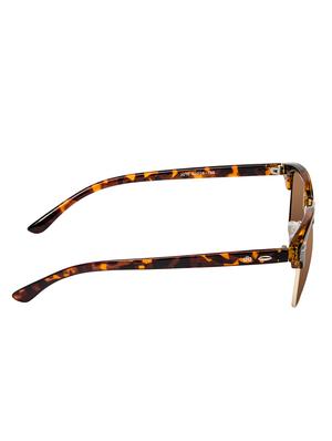 David Blake Brown Clubmaster Gradient, Polarised & UV Protected Sunglass - 15347431 - Standard Image - 3