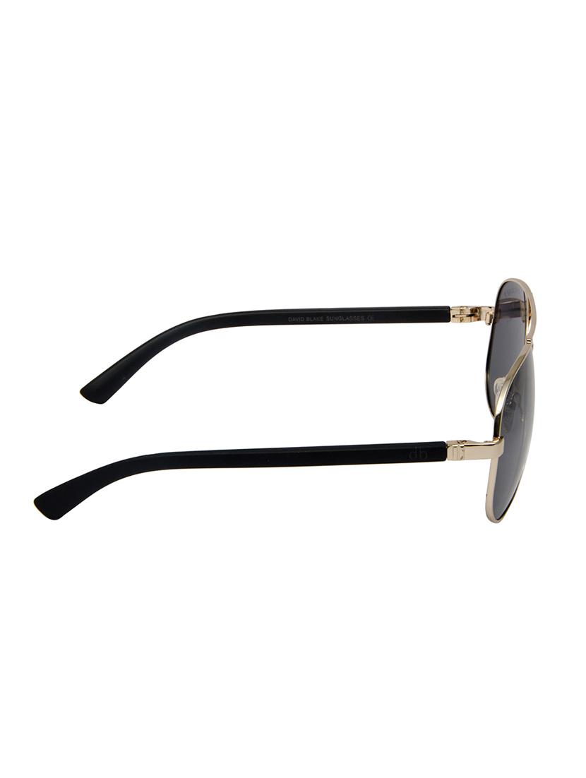 david blake black aviator polarized, uv protected sunglass - 15396058 - Zoom Image - 3