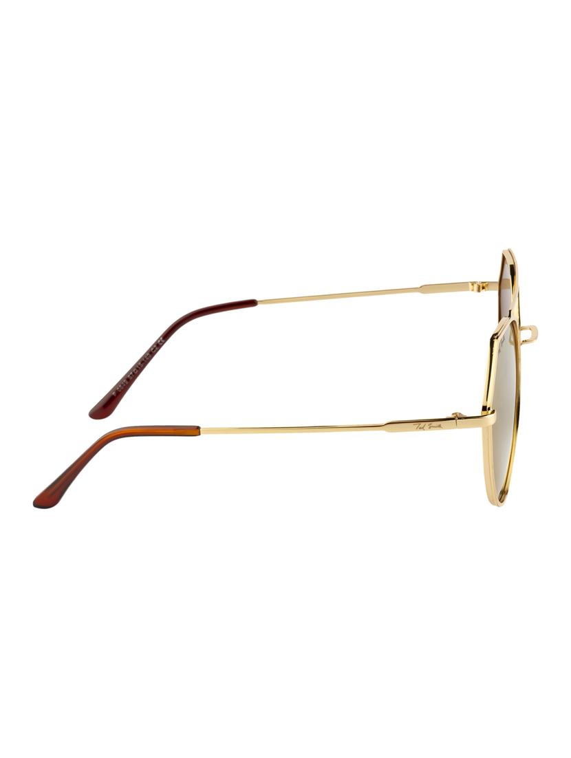 Ted Smith Unisex Aviator Sunglasses (TS-P0849_C2) - 15431492 - Zoom Image - 3