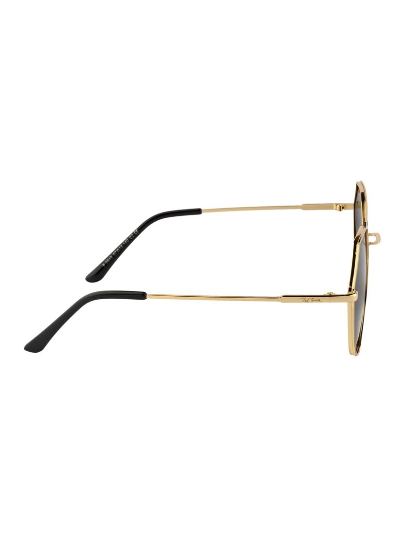 Ted Smith Unisex Aviator Sunglasses (TS-P0849_C3) - 15431493 - Zoom Image - 3