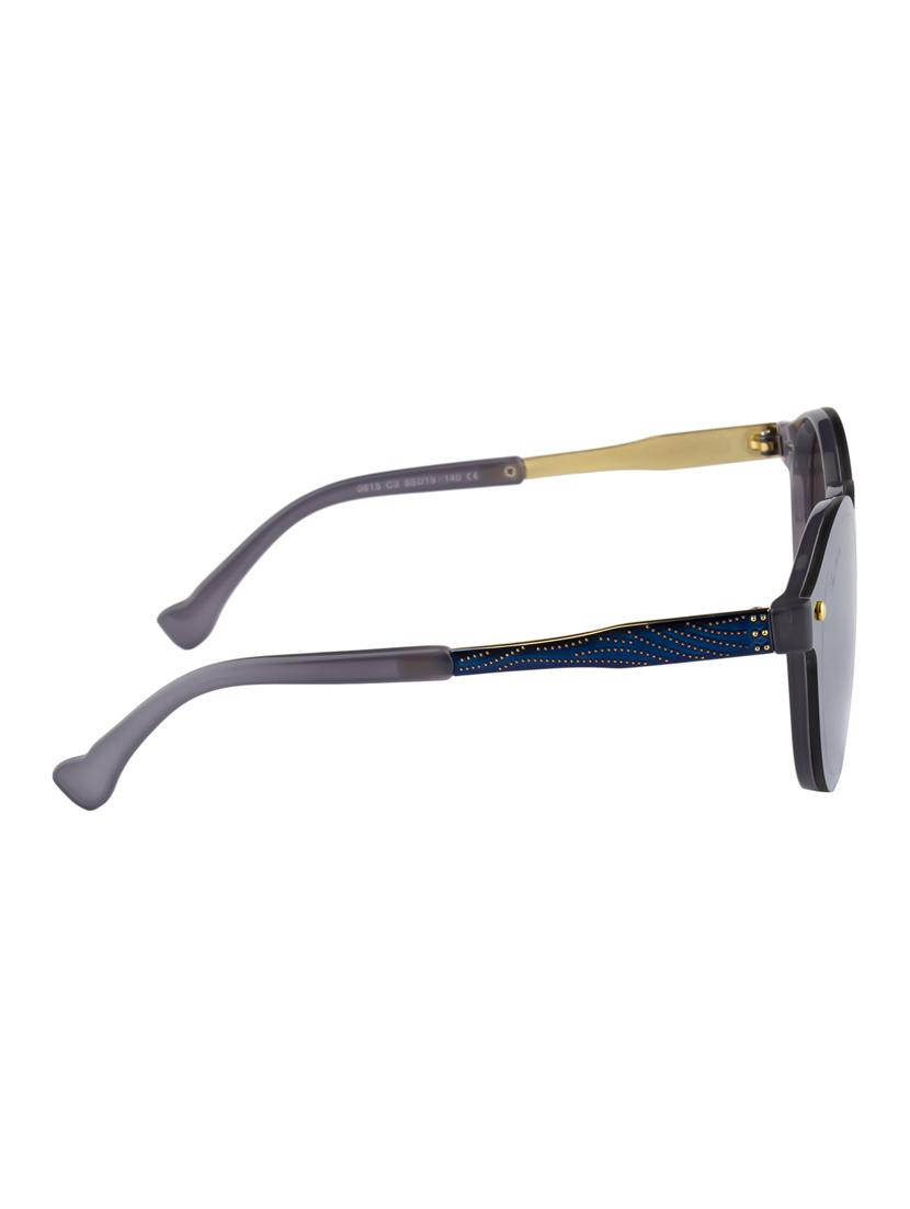 Ted Smith Unisex Round Sunglasses (TS-P0815_C3) - 15431503 - Zoom Image - 3