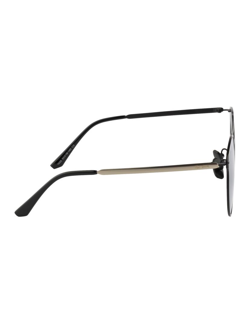 Ted Smith Unisex Aviator Sunglasses (TS-P1055_SIL) - 15431540 - Zoom Image - 3