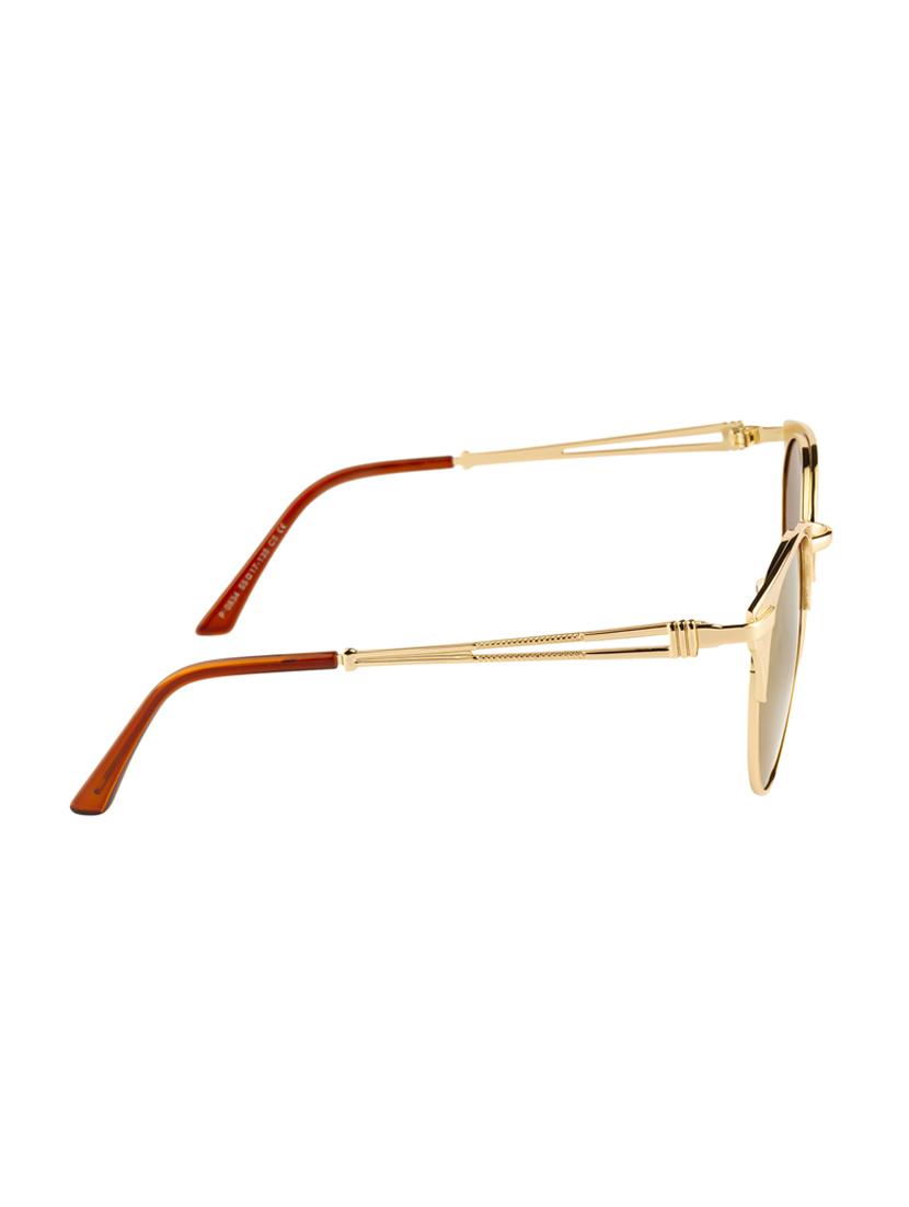 Ted Smith Unisex Round Sunglasses (TS-P0834_C5) - 15431548 - Zoom Image - 3