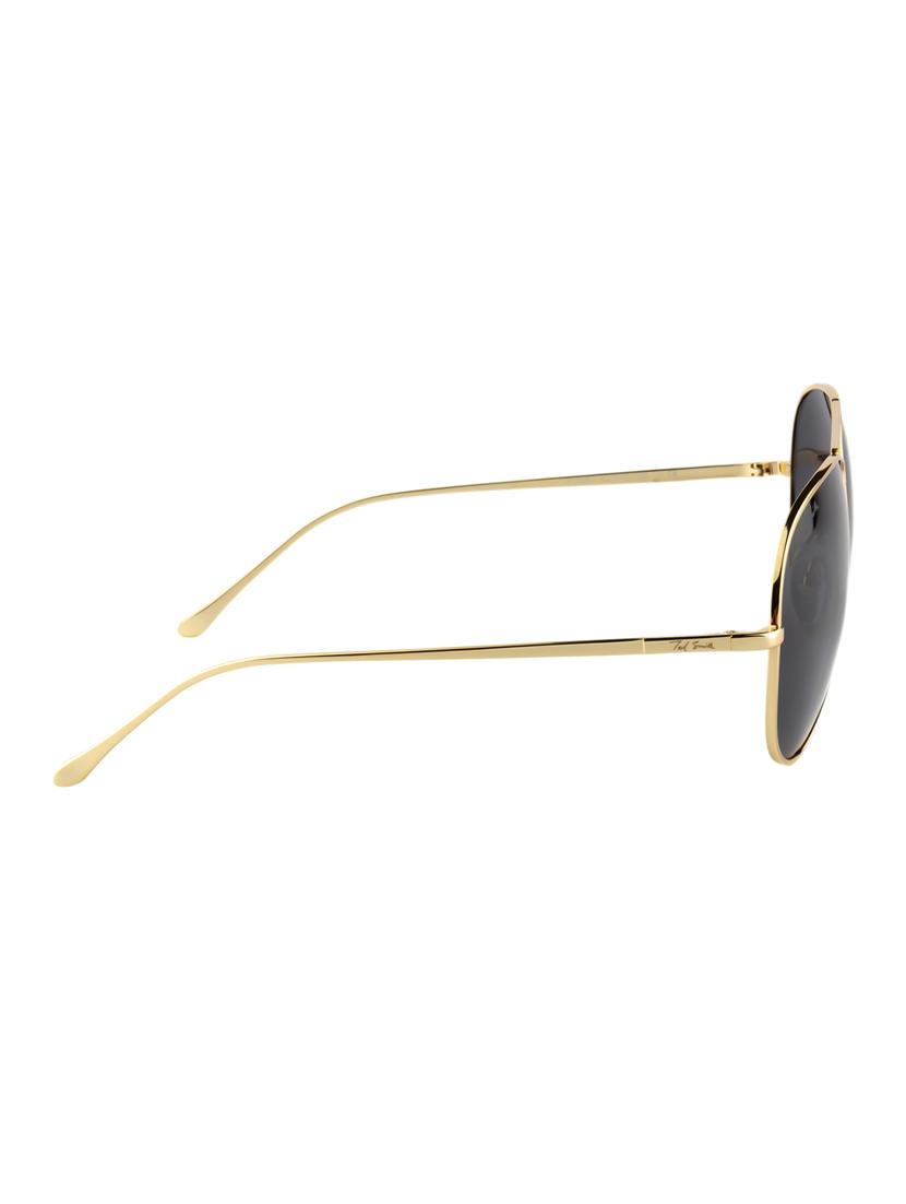 Ted Smith Unisex Aviator Sunglasses (TS-P0863_C6) - 15431561 - Zoom Image - 3