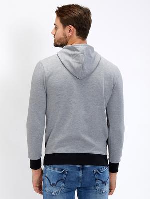 grey cotton sweatshirt - 15483401 - Standard Image - 3