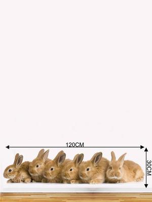 Rawpockets Wall Decals ' Rabbit Animals ' Wall stickers (PVC Vinyl) Multicolour - 15733877 - Standard Image - 3