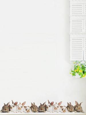 Rawpockets Wall Decals ' Living Room Rabbit Group ' Wall stickers (PVC Vinyl) Multicolour - 15733880 - Standard Image - 3