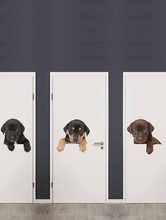 Rawpockets Wall Decals ' Living Room Dog Pose ' Wall stickers (PVC Vinyl) Multicolour - 15733881 - Zoom Image - 3