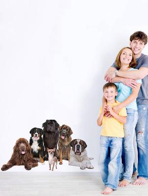 Rawpockets Wall Decals ' Living Room Cute Dog Family ' Wall stickers (PVC Vinyl) Multicolour - 15733883 - Standard Image - 3