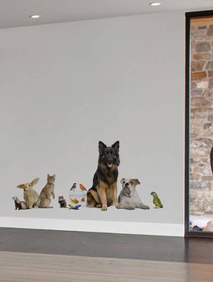 Rawpockets Wall Decals ' Living Room Pet Familiy ' Wall stickers (PVC Vinyl) Multicolour - 15733886 - Standard Image - 3