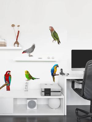 Rawpockets Wall Decals ' Living Room Parrot Love Bird ' Wall stickers (PVC Vinyl) Multicolour - 15733888 - Standard Image - 3