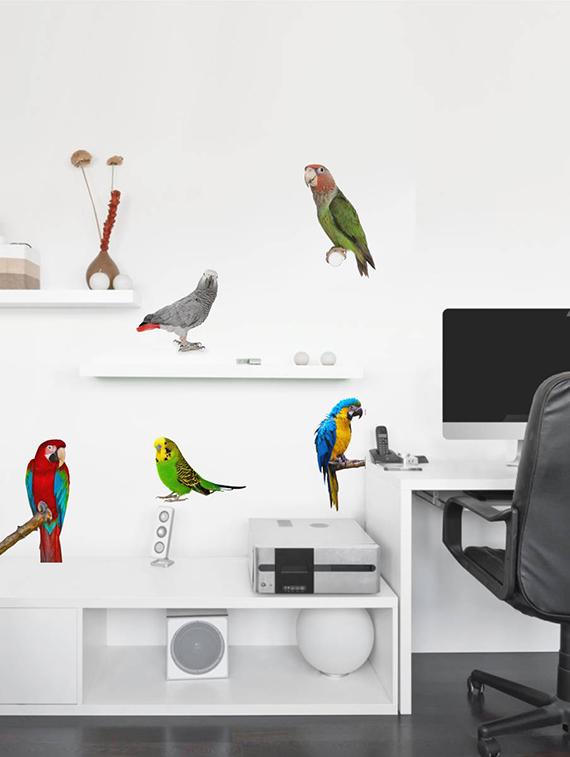 Rawpockets Wall Decals ' Living Room Parrot Love Bird ' Wall stickers (PVC Vinyl) Multicolour - 15733888 - Zoom Image - 3