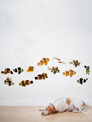 Rawpockets Wall Decals ' Living Room Cute Fish Family ' Wall stickers (PVC Vinyl) Multicolour - 15733897 - Standard Image - 3