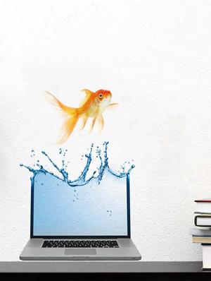 Rawpockets Wall Decals ' Fish and Laptop Abstract ' Wall stickers (PVC Vinyl) Multicolour - 15733900 - Standard Image - 3