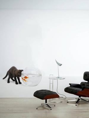 Rawpockets Wall Decals ' Cat and Fish Bowl Abstract ' Wall stickers (PVC Vinyl) Multicolour - 15733902 - Standard Image - 3