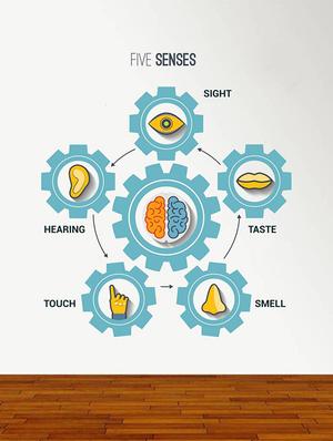 Rawpockets Wall Decals ' Five Senses?Chart ' Wall stickers (PVC Vinyl) Multicolour - 15734168 - Standard Image - 3
