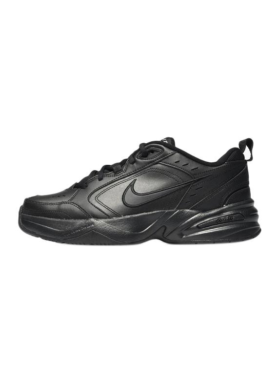 AIR MONARCH IV - 16270254 - Zoom Image - 3