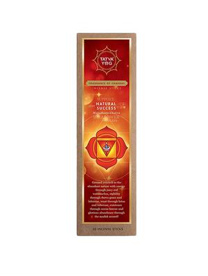 tatva yog natural success premium quality long lasting incense sticks for daily pooja|home (pack of 3 | 30 sticks in each pack) - 16364394 - Standard Image - 3