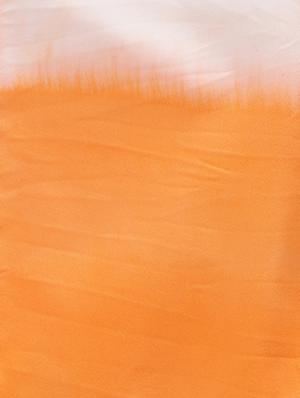 orange cotton shorts - 16477073 - Standard Image - 3
