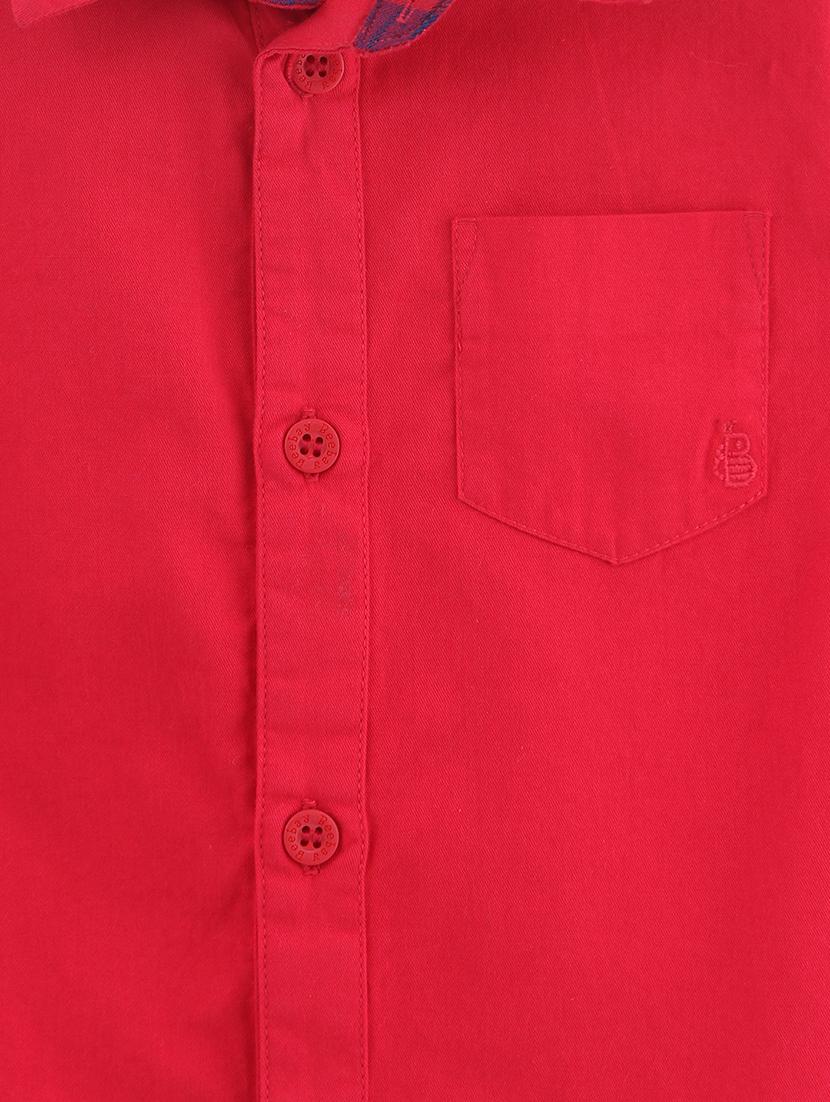 red cotton shirt - 16596491 - Zoom Image - 3