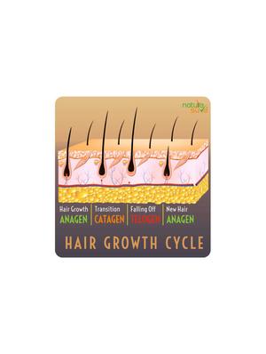 nature sure thumba wonder hair oil for men and women ? 1 pack (110ml) - 16629739 - Standard Image - 3