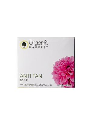 organic harvest anti tan scrub - 16666505 - Standard Image - 3